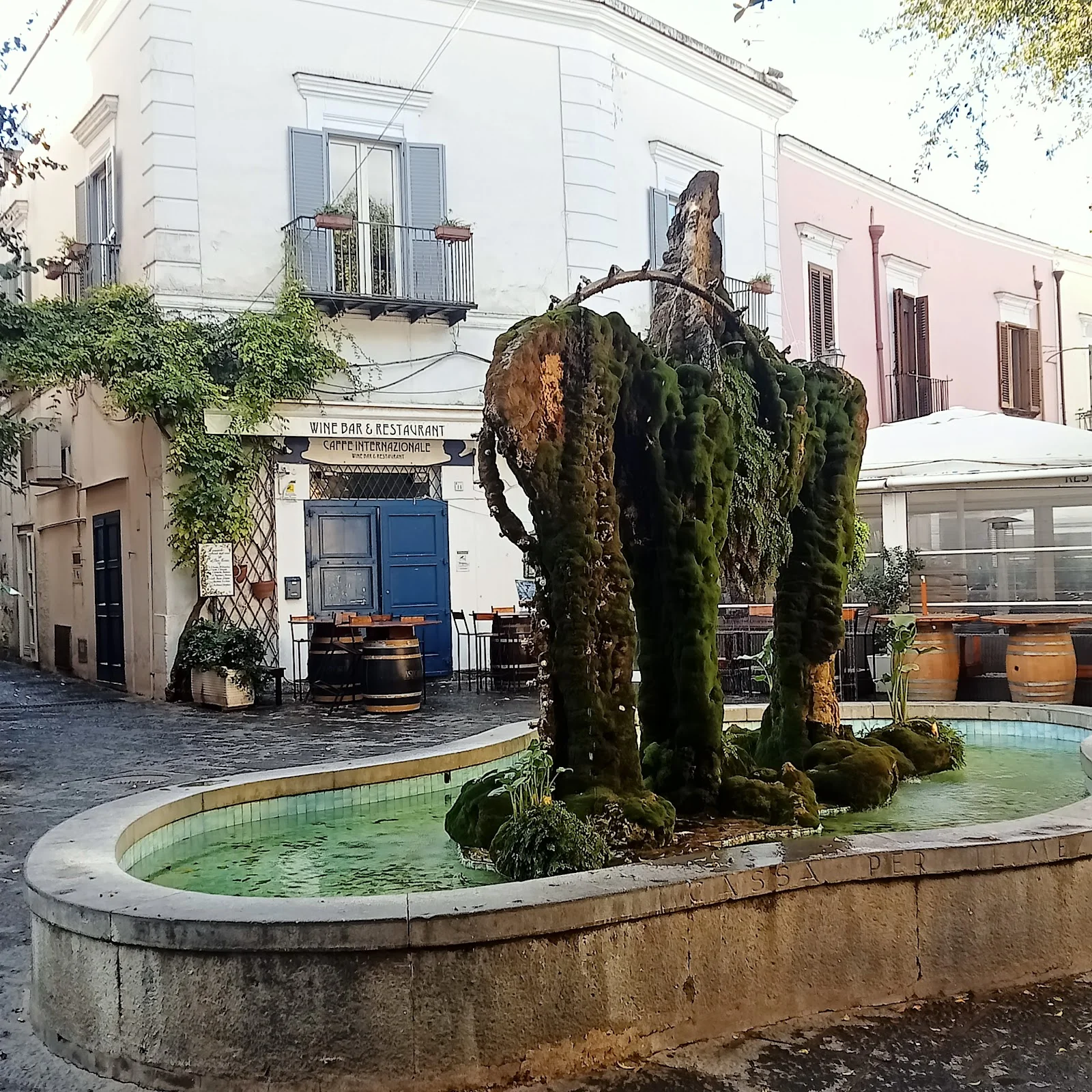 Caffe Internazionale Restaurant a Forio – foto 3