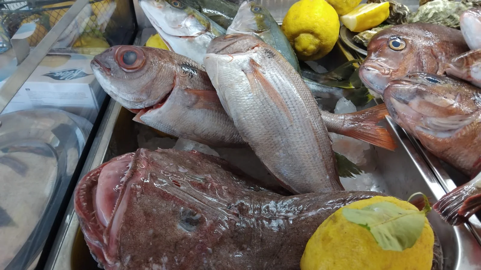 Trattoria ' O Marenariello a Ischia – foto 2