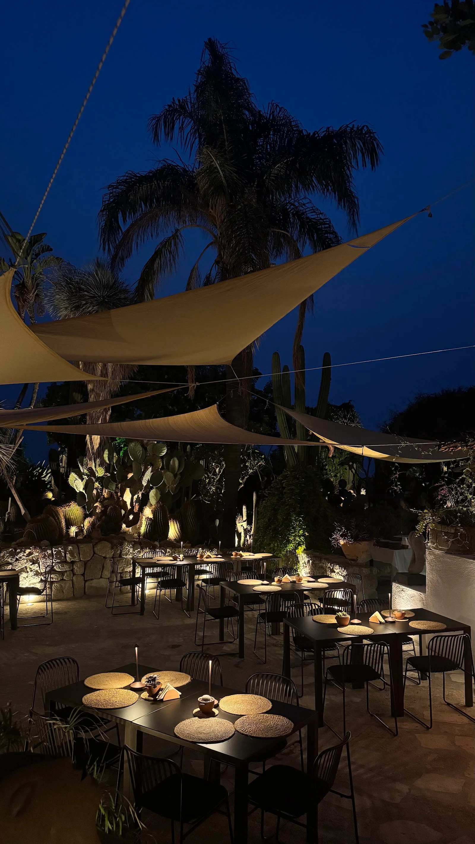 Cactus Lounge Cafe&Restaurant a Forio – foto 2