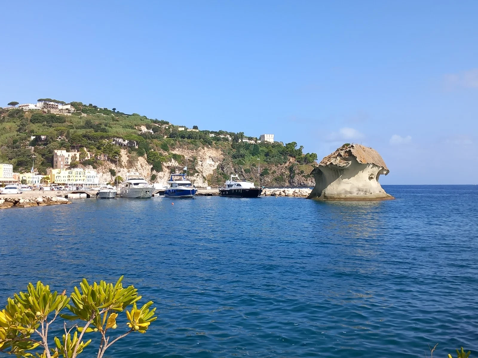 Profumo Di Mare a Lacco Ameno – foto 3