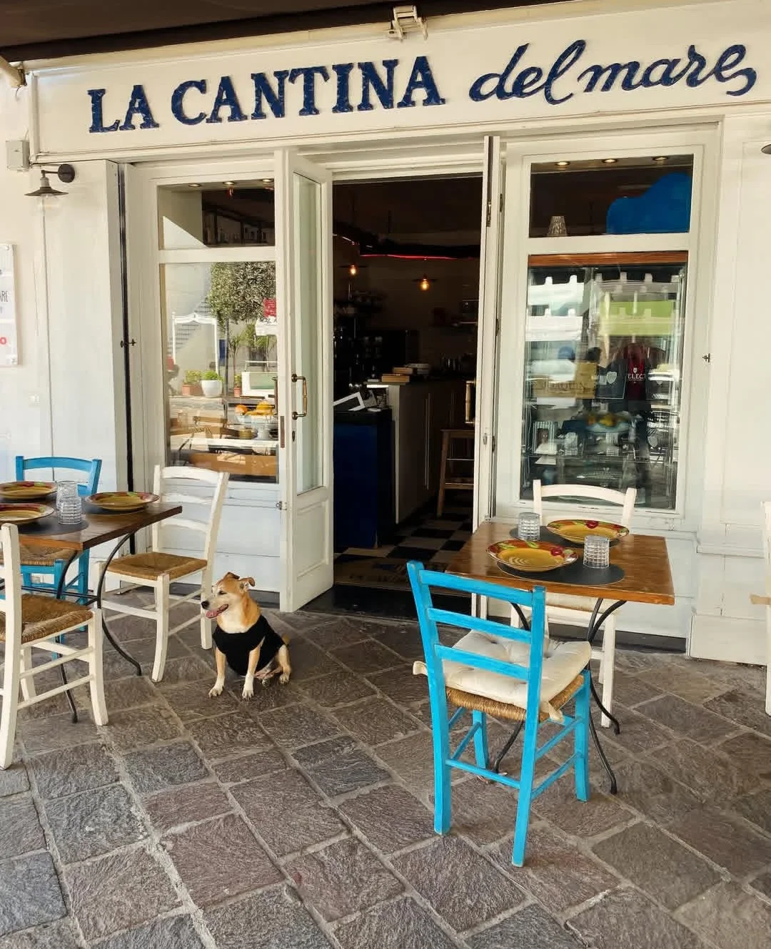Ristorante La Cantina del Mare a Lacco Ameno – foto 1