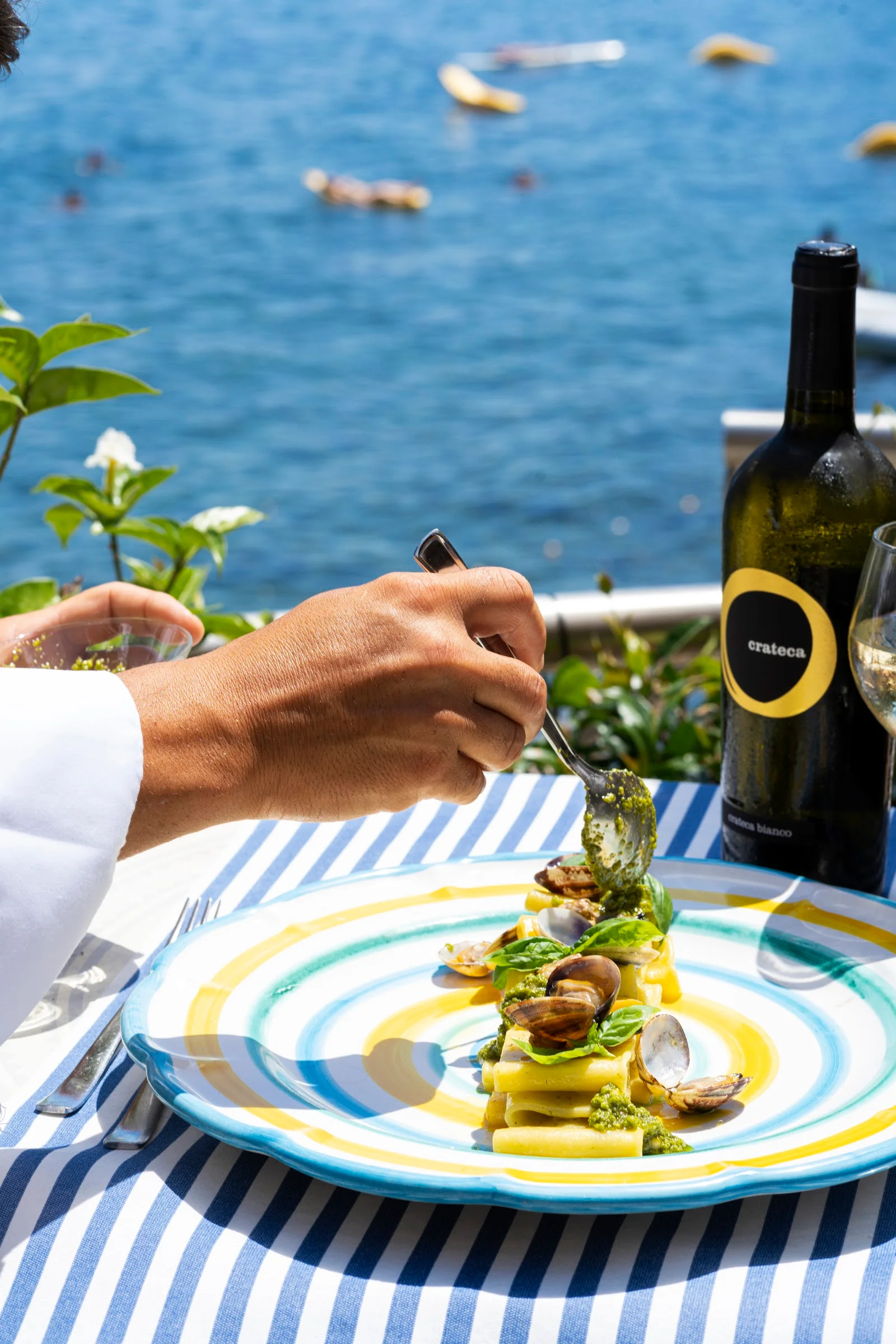'O Vagnitiello Ischia - Parco Balneare Idroterapico - Sauna - Mare - Camere - Ristorante a Casamicciola Terme – foto 4