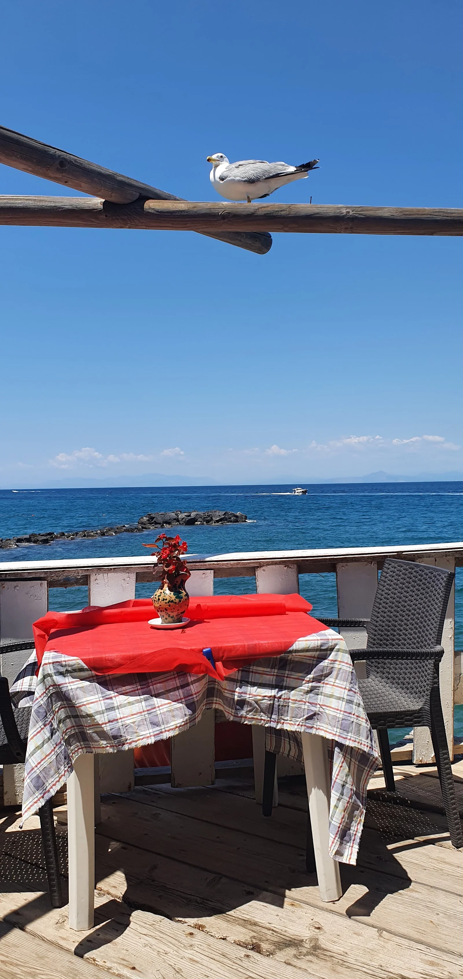 Ristorante da Bellezza a Ischia – foto 1