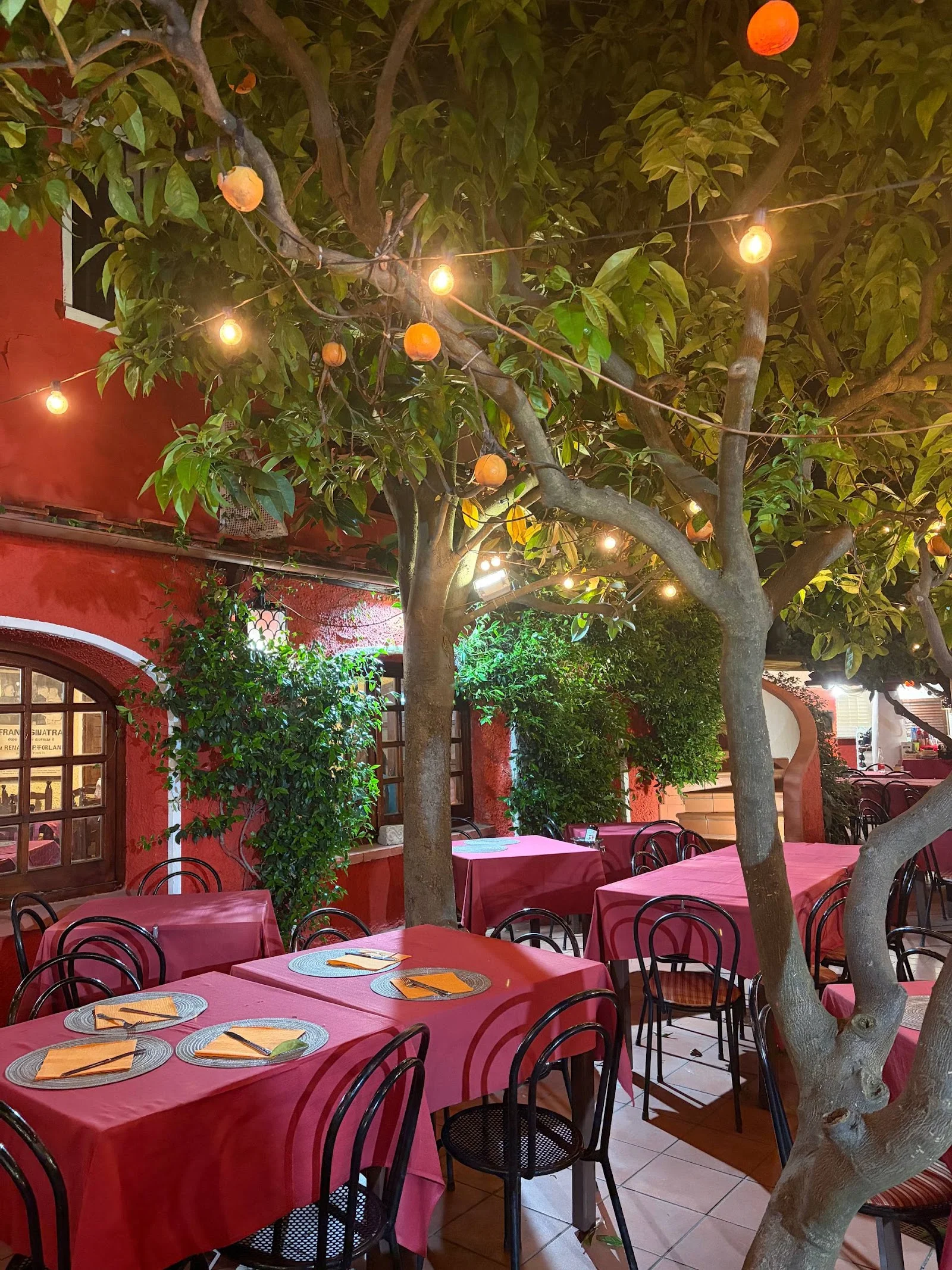 Il Giardino degli Aranci a Ischia – foto 3