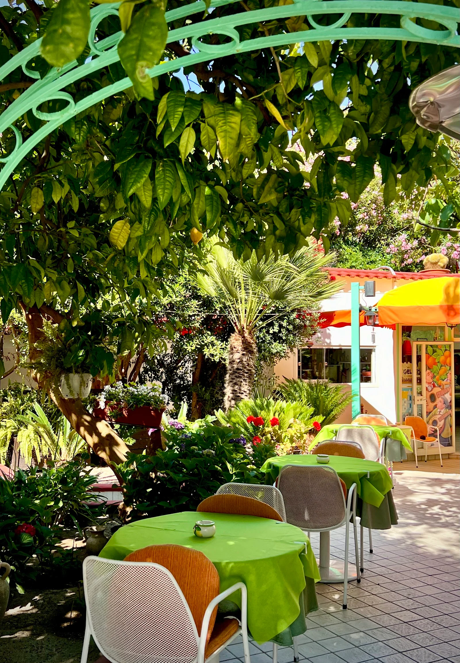 Restaurant @ La Rondinella baia di Sorgeto a Forio – foto 1