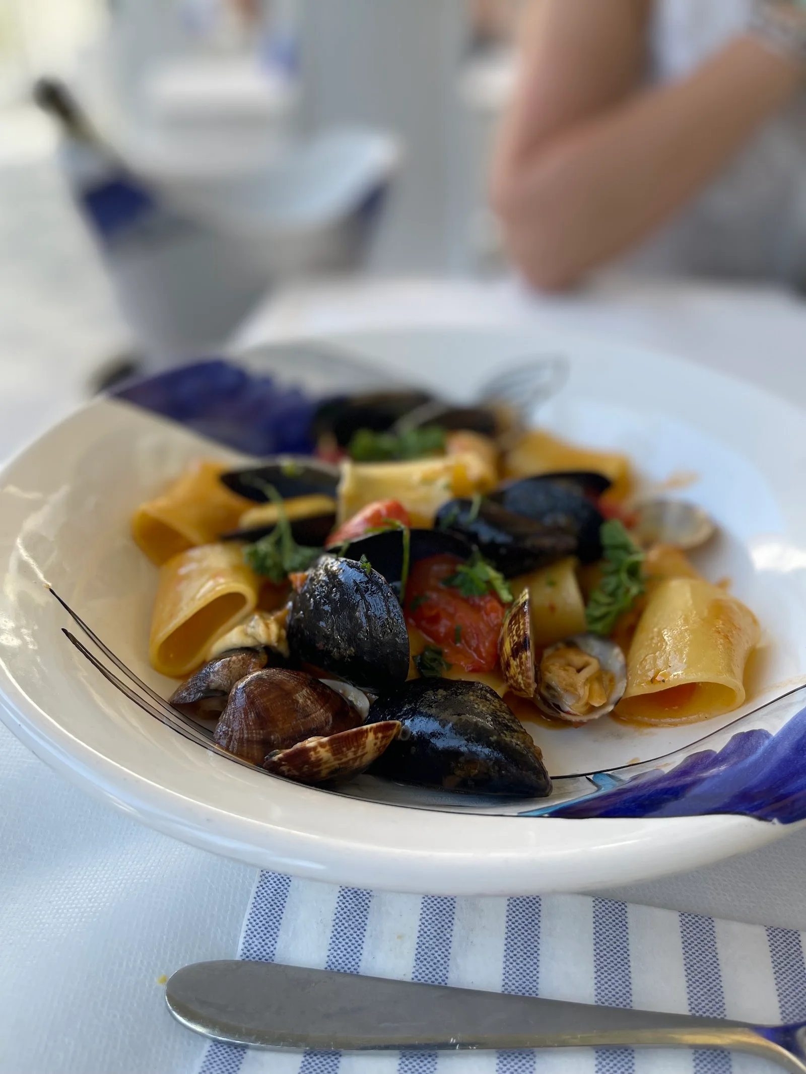 Giardino di Enzo a Ischia – foto 5